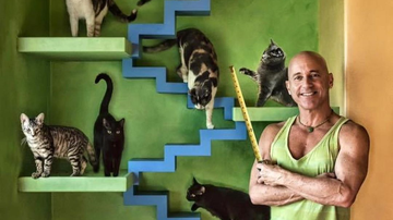 Imagem Homem adapta casa e constrói “paraíso felino” para mais de 20 gatos