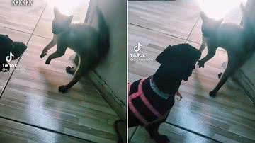 Reprodução/TikTok @ju_estrela96