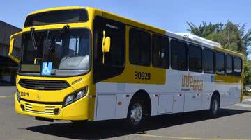 Divulgação/Mercedes-Benz