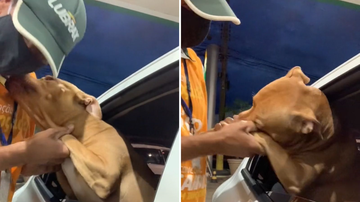 Reprodução/TikTok @thoreduardo