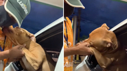 Reprodução/TikTok @thoreduardo