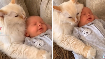 Reprodução/TikTok @williamandteddy