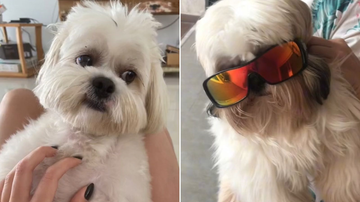 Reprodução/TikTok @micamcosta