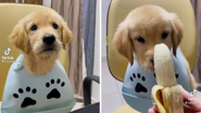 Reprodução/TikTok