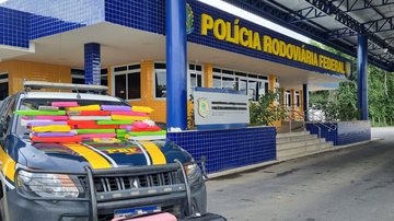 Divulgação
