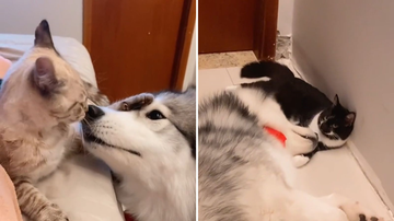 Reprodução/TikTok @monnamoura