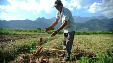 Produtor rural - Tomaz Silva/Agência Brasil