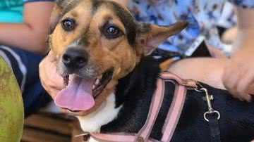 Reprodução/Redes Sociais