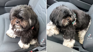 Reprodução/TikTok @linaelua