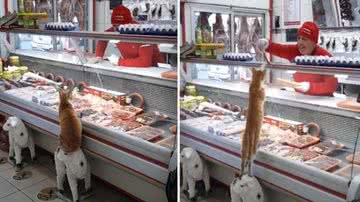 Reprodução/Instagram @ikramkorkmazer