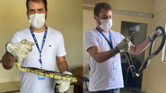 Divulgação/Adema