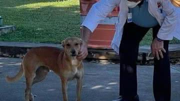 Sangre Azul Puerto Rico/Facebook/Reprodução