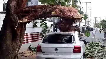 Reprodução/Twitter