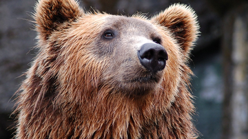 Foto Ilustrativa/Pixabay