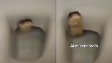 Reprodução/TikTok @dudareissz