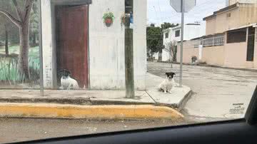 Alberto Gallardo Vazquez