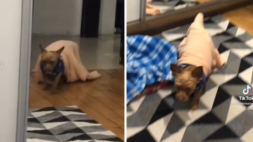 Reprodução/TikTok