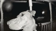 Reprodução/Youtube