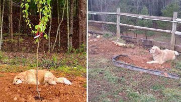 Horse Creek Stable Rescue Sanctuary