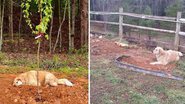 Horse Creek Stable Rescue Sanctuary