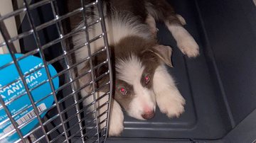 Reprodução/Arquivo pessoal