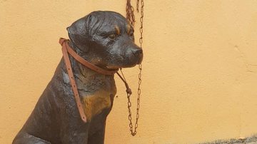 Reprodução/Polícia Militar do Meio Ambiente