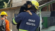 Reprodução/Instagram @grad_brasil