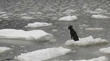 Reprodução/Youtube