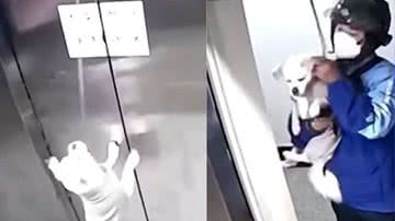 Reprodução/Youtube