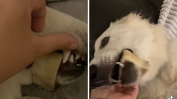 Reprodução/TikTok @letilohmann5