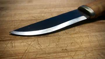 Reprodução Ilustrativa