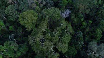 Reprodução/TV Brasil