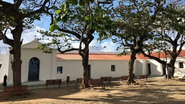 O episódio é mais um da saga do presidente Jair Bolsonaro que avança sobre a ilha - Divulgação