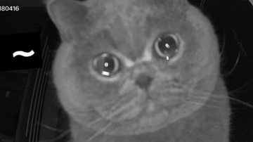 Reprodução/Douyin/Ms Meng