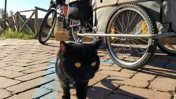 Reproodução/Facebook