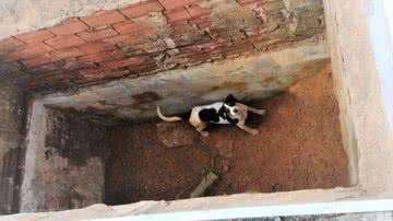 Reprodução/Marcos José Fagundes/Arquivo pessoal