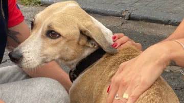 Reprodução/Redes Sociais