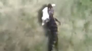 Reprodução/Redes Sociais