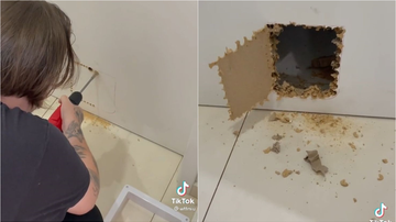 Reprodução/TikTok @wtfmiu