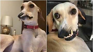 Reprodução/Redes Sociais