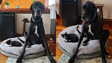 Reprodução/Instagram @corbin_fosters