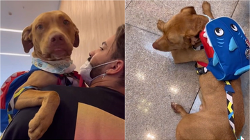 Reprodução/TikTok