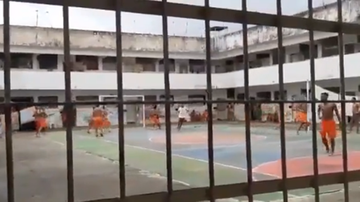 Reprodução