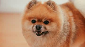 Cup of  Couple por Pexels