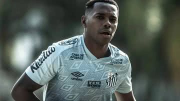 Ivan Storti/Santos FC.