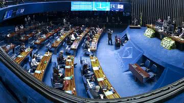 Roque de Sá/ Agência Senado