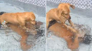 Reprodução/Redes Sociais