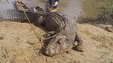 Reprodução/J. Cavalcante