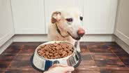 Reprodução/PetLove