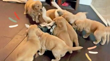 Reprodução/TikTok @haley_key